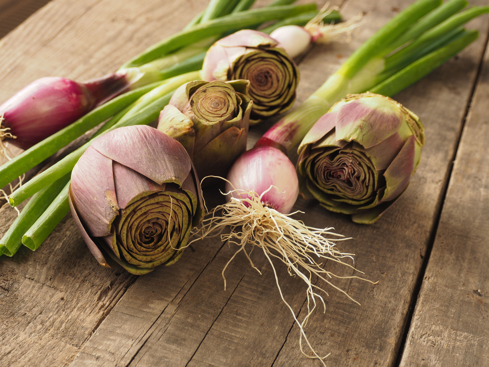 Onions and artichokes